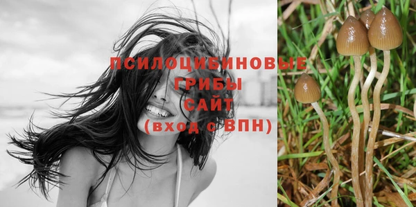 ешки Верея